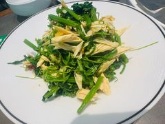 凉拌丝瓜尖-黑窑厂糖油饼烤鸭·清真菜(黑窑厂街店)