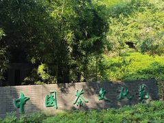 -天目湖山水园