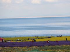 -青海湖国家重点风景名胜区