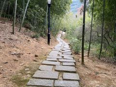 -宝界山林公园