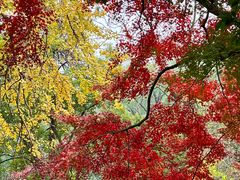 -虞山风景区