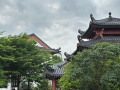 -广东花都湖国家湿地公园