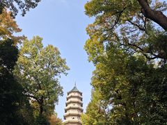 -灵谷景区