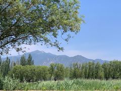 -野鸭湖国家湿地公园