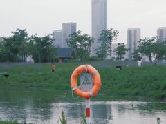 -洋湖国家湿地公园