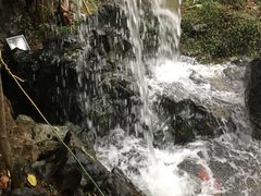 -苏苑饭店-中餐厅(长桥地区店)