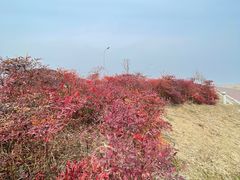 -东山风景区(洞庭东山)