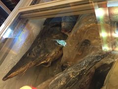 -忆乡情铁锅炖鱼饭店(延庆店)