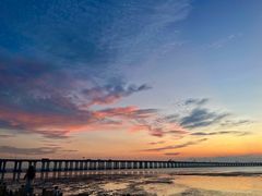 -宝安西湾红树林湿地公园