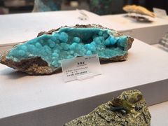 -湖南省地质博物馆