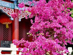 -南沙天后宫景区