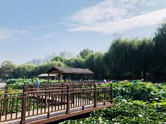 -裕华世纪公园