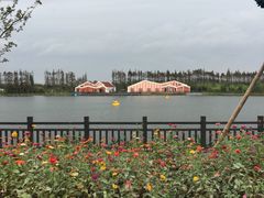 -上海长兴岛郊野公园