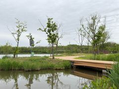-江苏三台山国家森林公园