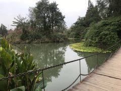 -桤木河湿地公园