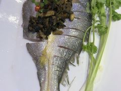 -苏大嘴蒸汽海鲜·海胆蒸饺(中山广场店)