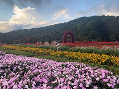-广州市石门国家森林公园