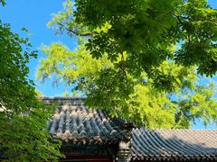 -潭柘寺景区