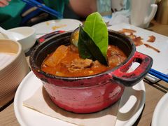 沙茶萝卜炖牛腩-小大董·烤鸭(凤凰汇店)