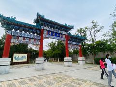 -云岗森林公园