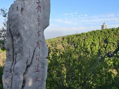 -原山国家森林公园