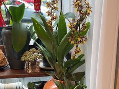 -街角 T·COFFEE 融合料理·BISTRO(车公庙店)