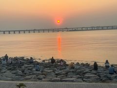 -宝安西湾红树林湿地公园