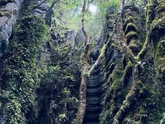 -梭布垭石林景区