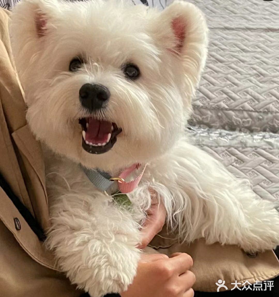 在海底捞过生日是种什么体验？！