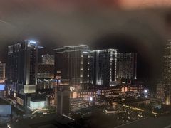 -澳门威尼斯人综合度假区