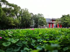 -四川大学(望江校区)