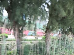 -北海金海湾红树林生态旅游区