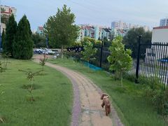 -云岗森林公园