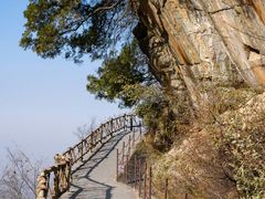 -少华山国家森林公园