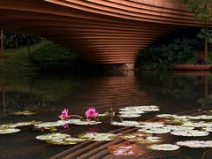 -云溪植物园