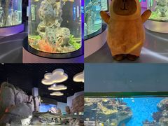 -福州罗源湾海洋世界旅游区