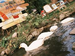 -HERRE·FARM 赫尔露营农场·团建聚会包场