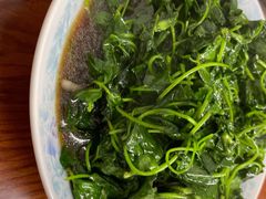 金花菜-胡子饮食店
