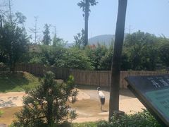 -太湖龙之梦