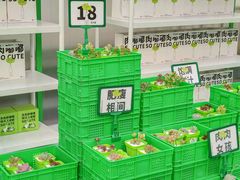 -王府井百货(总府店)