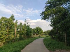 -白鹭湾湿地公园