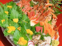 三文鱼-初花·日本料理