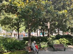 -常州古运河南大街文化旅游区-人民公园