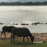 清远石角轻越野圣地