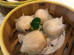 -东方之珠海鲜酒楼(南开店)
