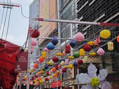 -越秀西湖花市(广州城市广场花卉店)
