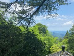 -莫干山风景区