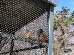 -长白岛森林公园