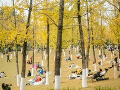 -重庆中央公园(渝北区)