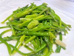 -泸沽肴(泸沽湖大洛水村农村信用社旁店)